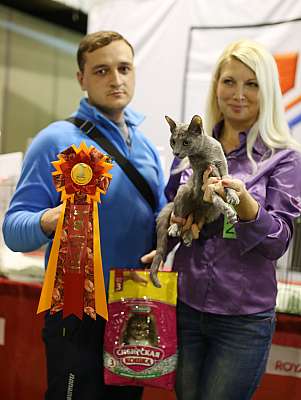 �������� ����� 20-21 �������� 2014 WCF-�����  10-211-169A2081 copy.jpg